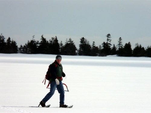 Snowshoeing on Red Island Hiking Trail